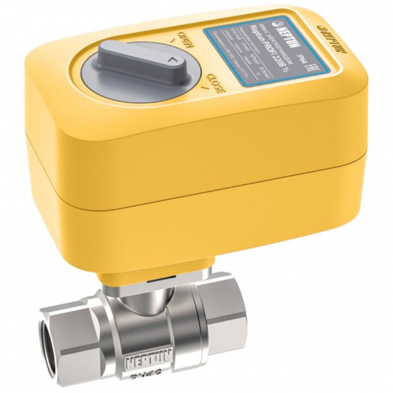 Кран с электроприводом Neptun Profi 220В 1/2"